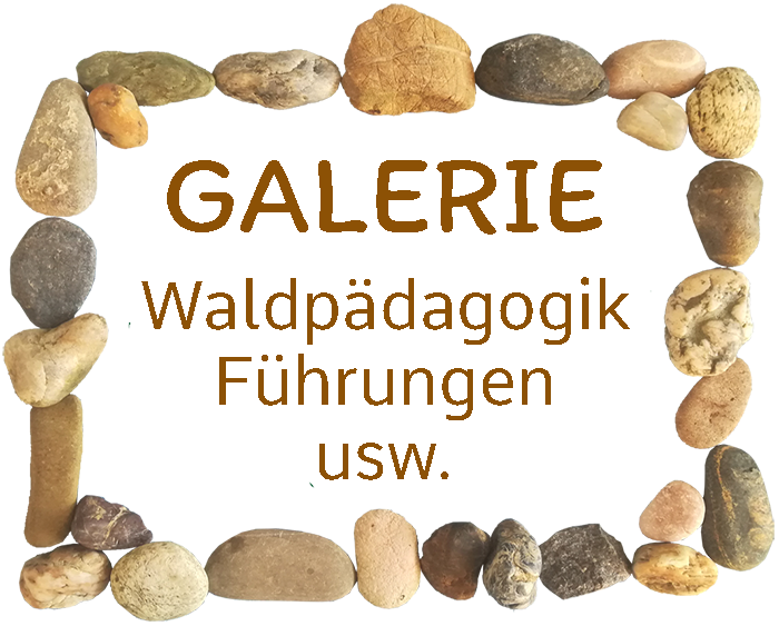 zur Galerie - Waldpädagogik, Führungen, usw.